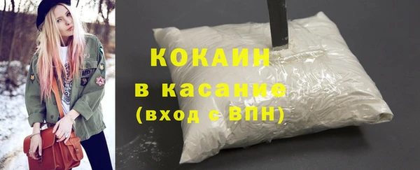 индика Алексин