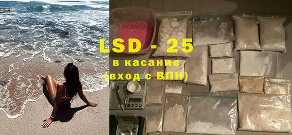 индика Алексин