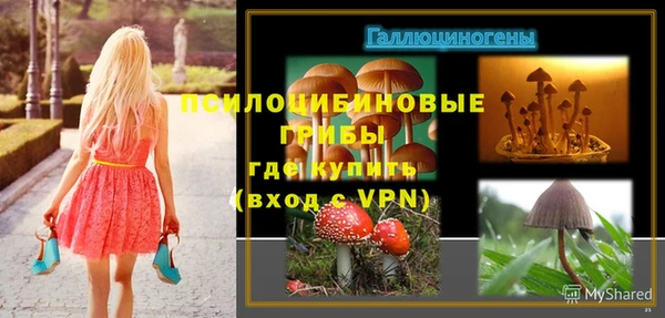 эйфоретик Алексеевка