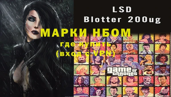 индика Алексин